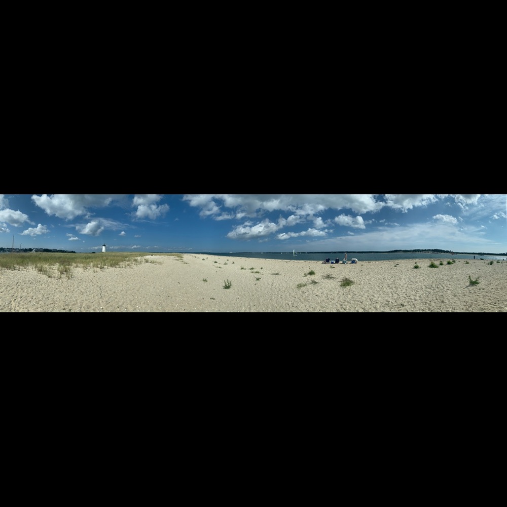 Meet your Posher, Dana